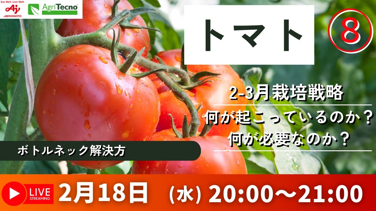 2/18 20:00～トマト2-3月の栽培戦略　今何が起こっていて何が必要なのか？