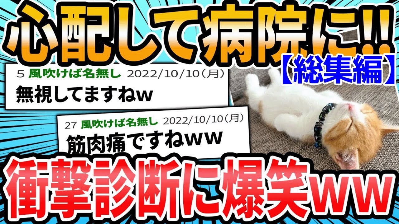 【総集編】飼い主が心配して病院に連れて行くと… #ドクターに言われた衝撃的な言葉 犬猫バージョン【2ch面白いスレ】