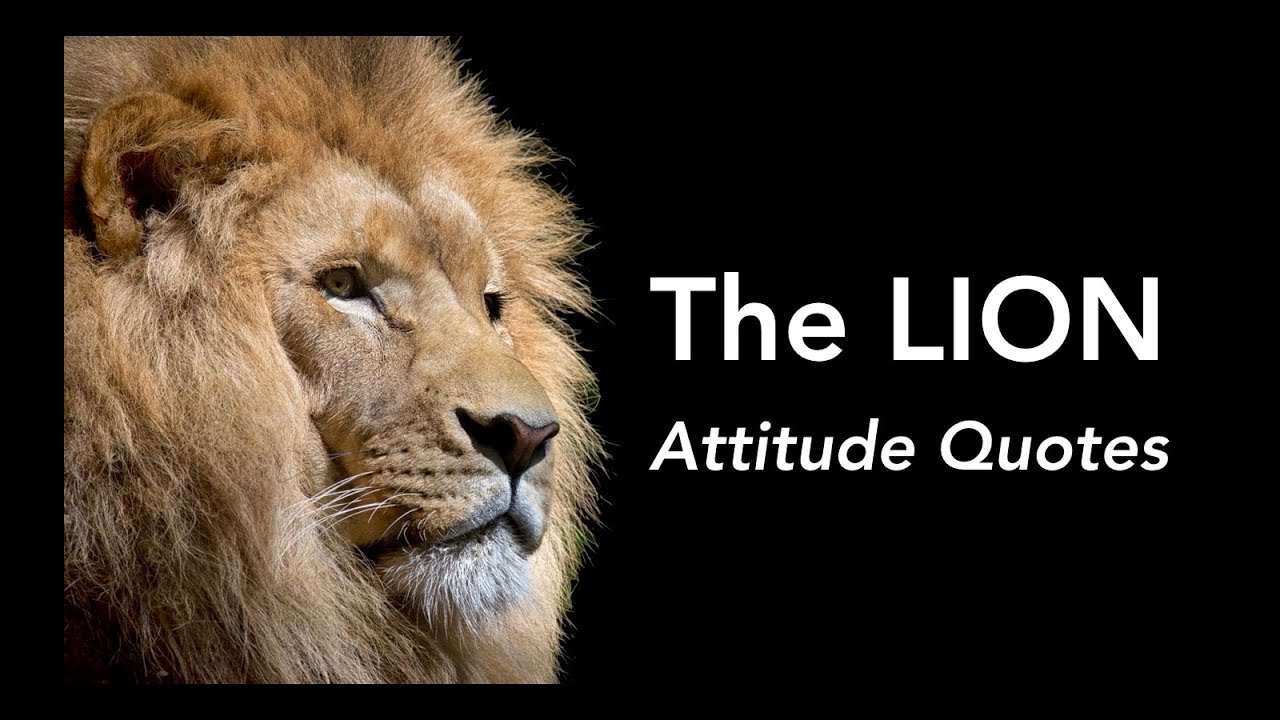 The Lion Attitude Quotes | Develop the Lion Attitude