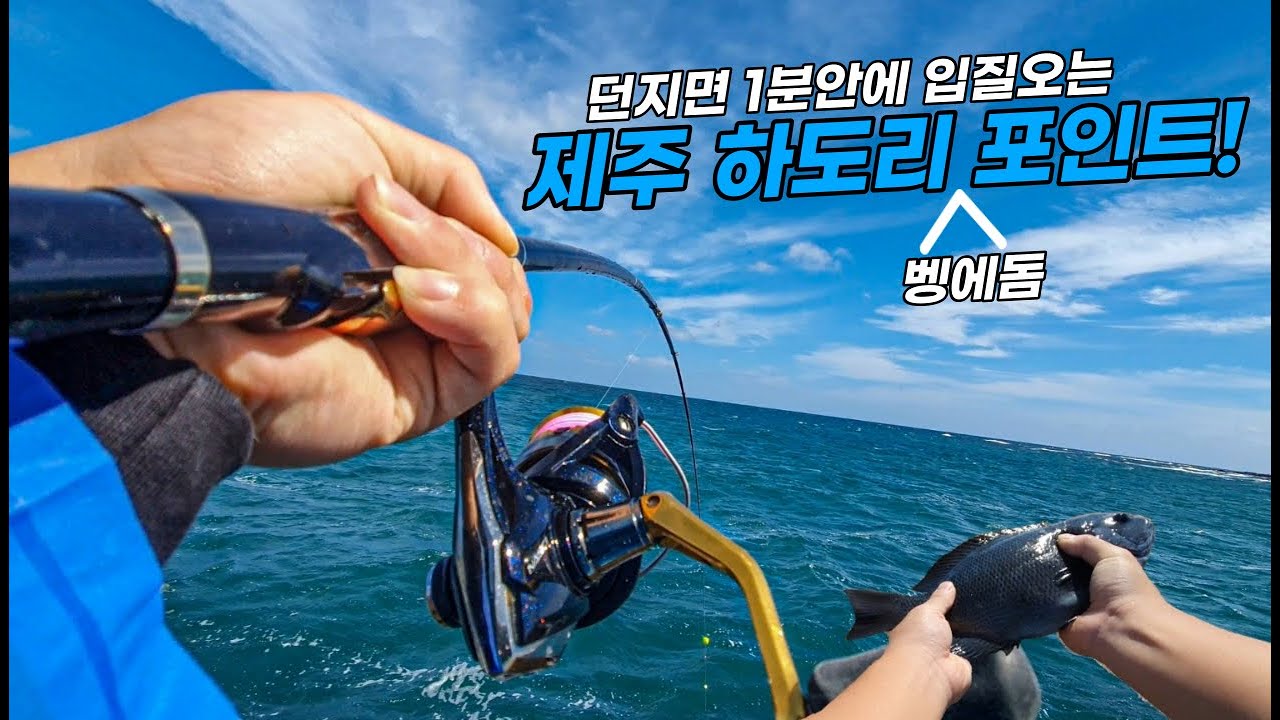 제주도에서 꽝 안치고싶다면 이 영상 꼭 보세요!!