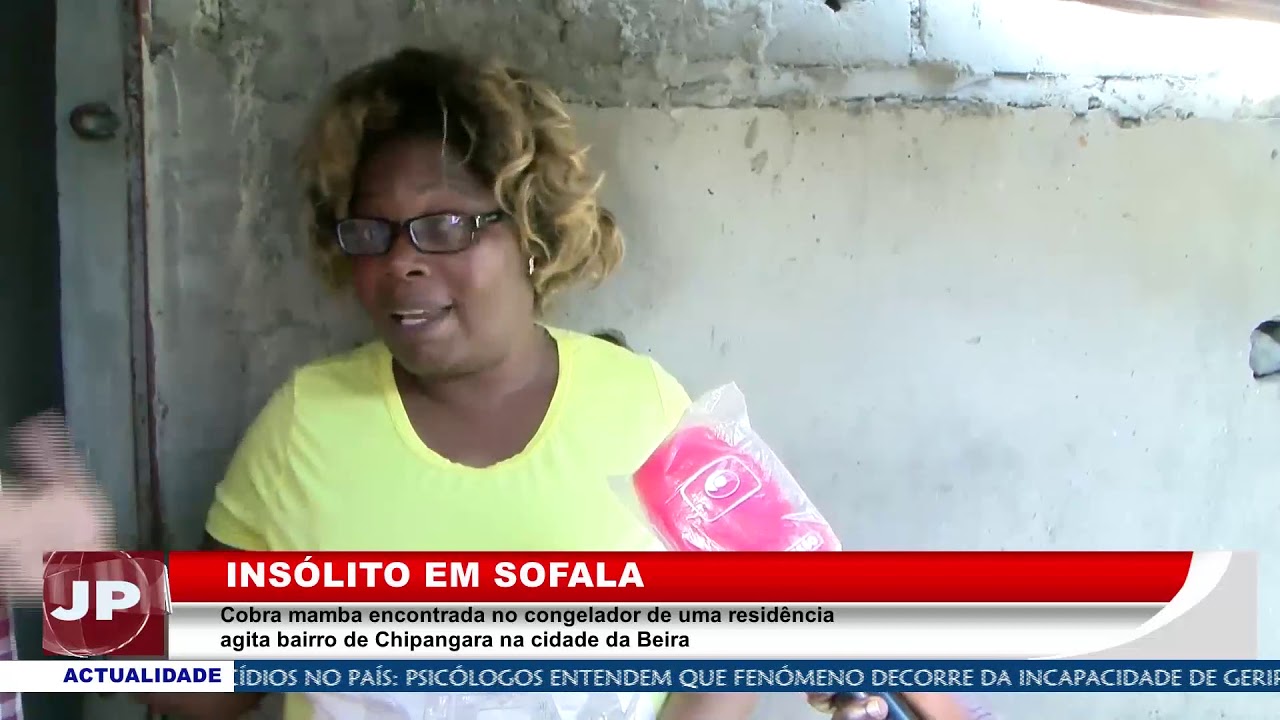 Cobra mamba encontrada no congelador de uma residência agita bairro de Chipangara na cidade da Beira