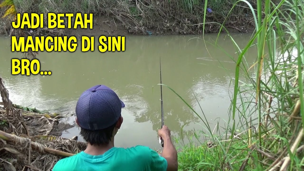 MANTAP Bro..! Joran Melengkung Ditarik Babon