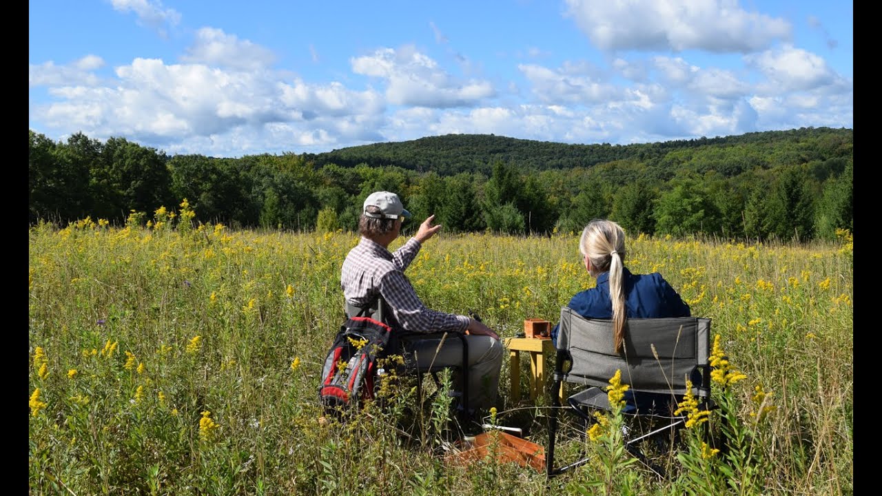 Finding Wild Honey Bees