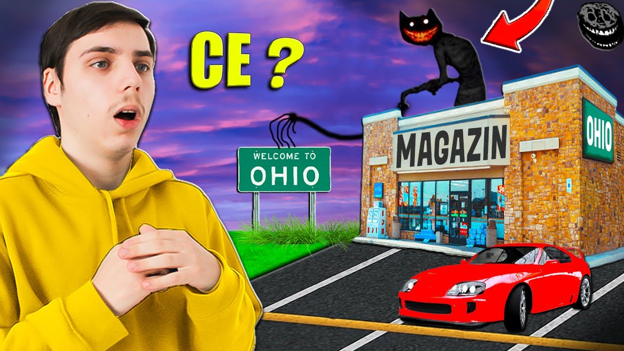 Cea mai OHIO Poveste din JAPONIA