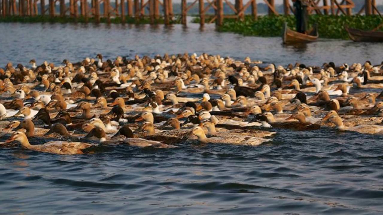 Karl Jenkins   Motets - 1  I'll make Music (Gloria)