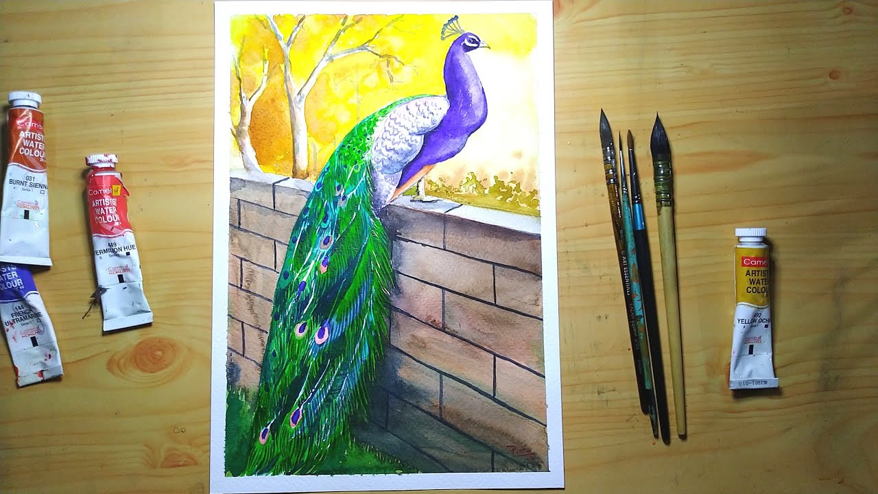 How to draw a Peacock with watercolor step by step