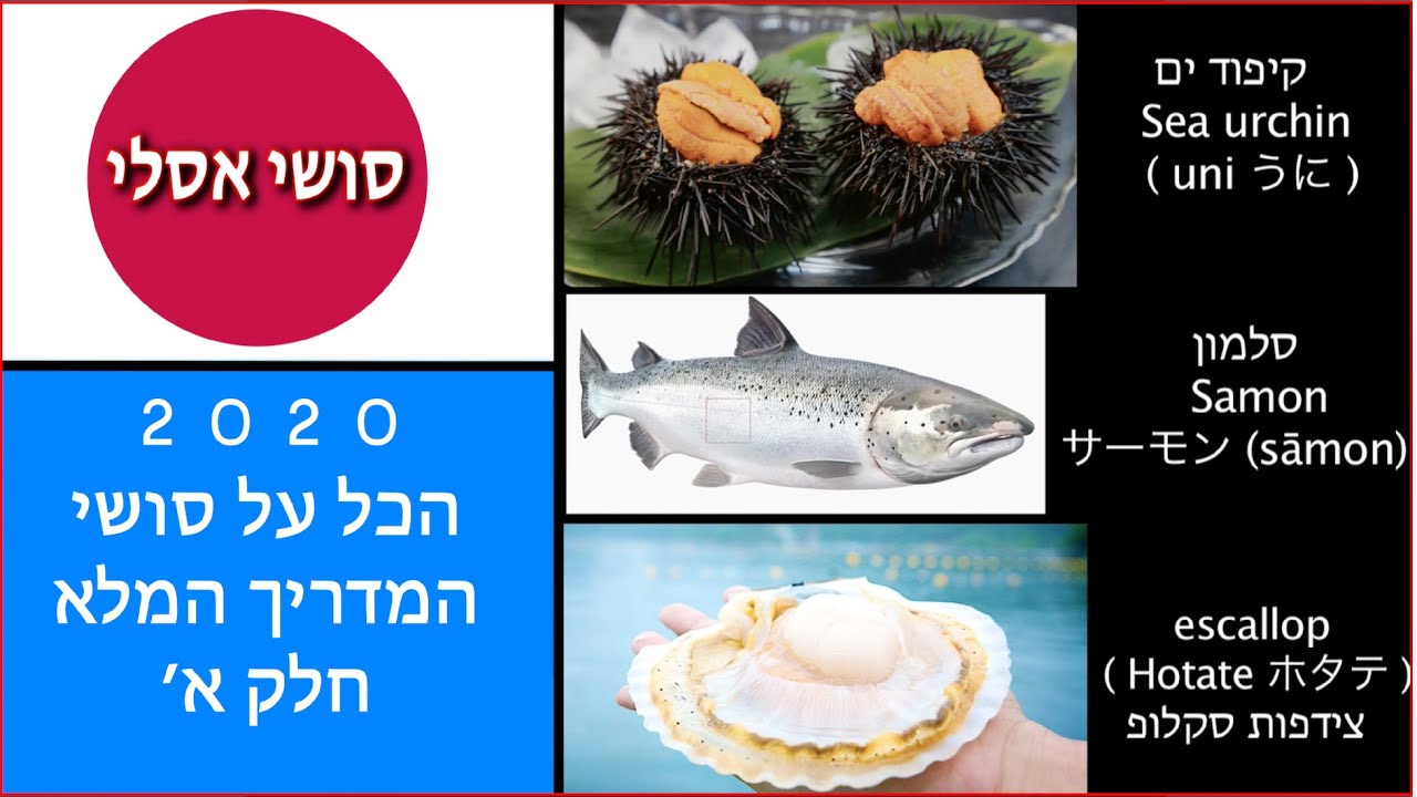 סושי - התוכנית והמדריך הטוב ביותר בעברית - חלק - 1