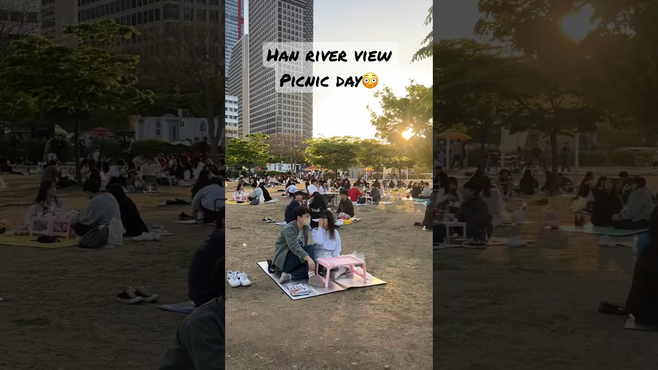Picnic day in Korea 😳 alongside Han river