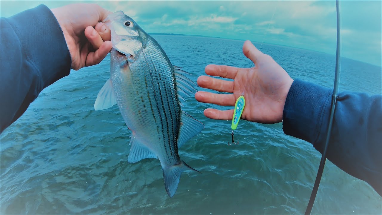 Tawakoni Sand Bass Smack Down