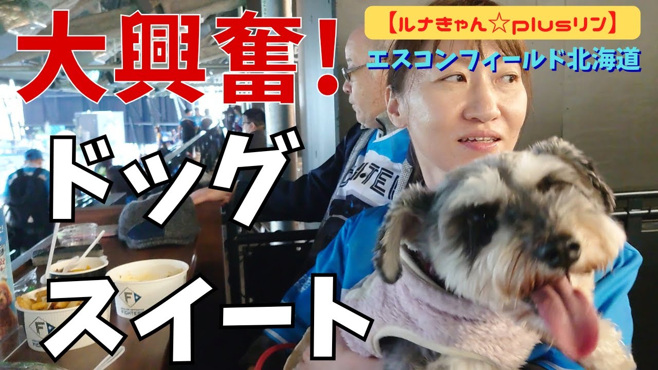 【（音量・視聴注意）北海道キャンプ　大興奮のドッグスイート！ルナきゃん☆plusリン番外編（ES CON FIELD北海道）】
