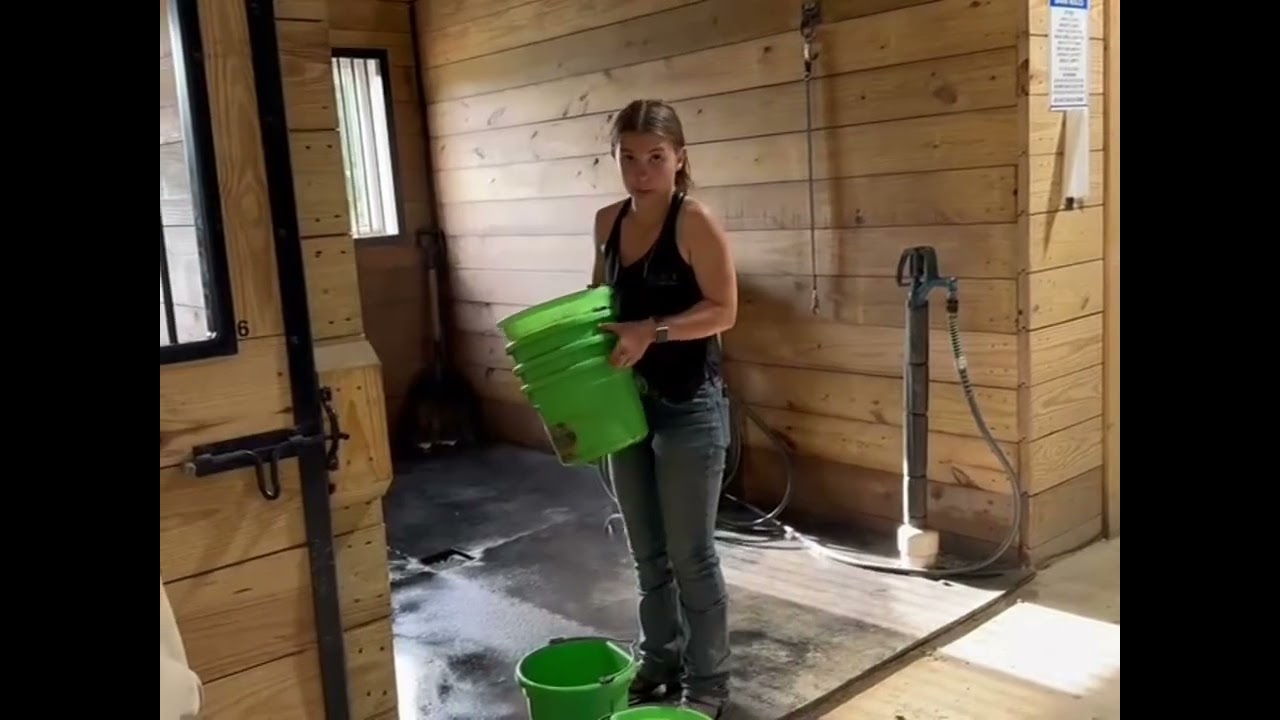 Feeding stalled horses at Legacy Sport Horses