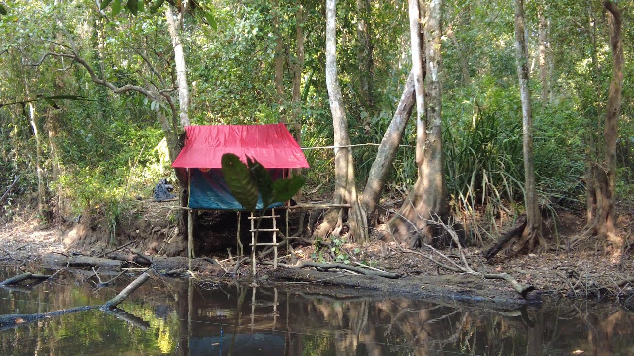 BERBURU BIG FISH DI TENGAH MALAM HUTAN RAWA DAN MEMBUAT SHELTER ( PONDOK BERMALAM )