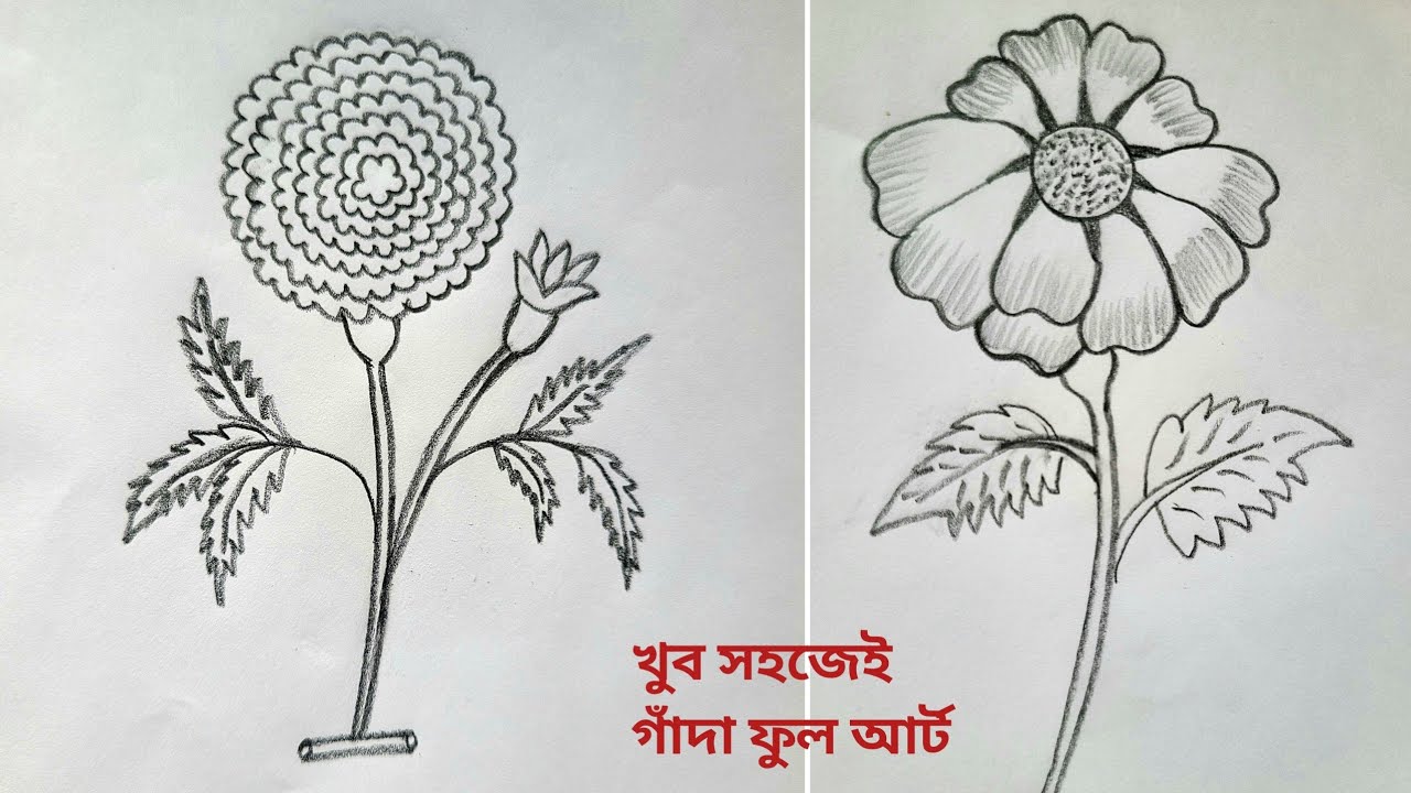 গাঁদা ফুল আর্ট টিউটোরিয়াল ❤️ 😍 ||Most beautiful 2 flowers art with pencil ✏️ 😍 💕 || Pencil art|