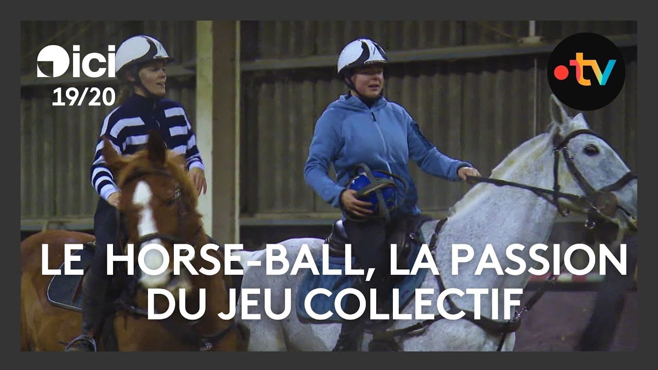 Équitation : découverte du horse-ball, entre passion, sport et jeu collectif