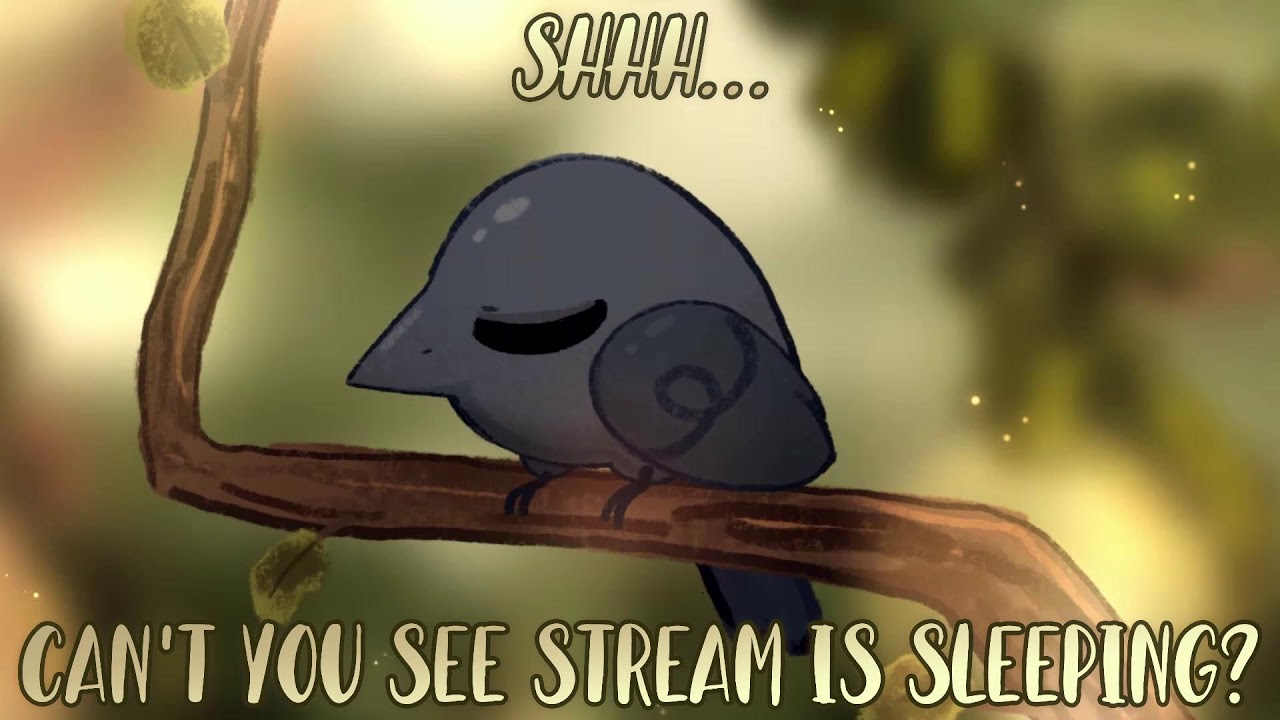 LIVE STREAM: CODENAMES and SALEMS and AMOGIES