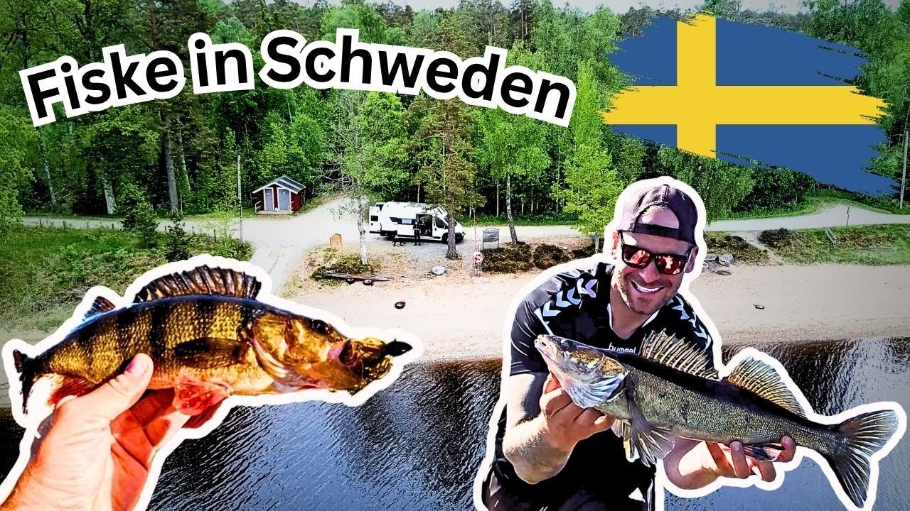 Furios am Furen See Angeln in Schweden! Einheimische bringen mich zum Fisch- Meine Erste Campertour