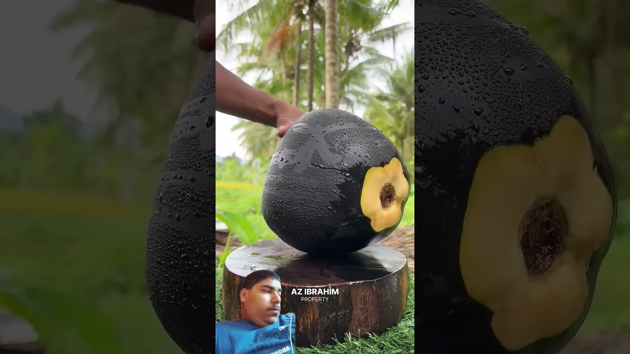 black coconut cutting skills #trending #cuttingskills #viral #rfc #shorts