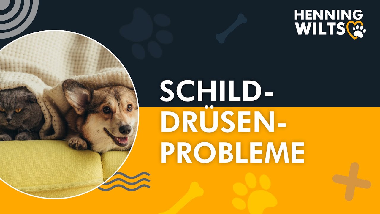 Schilddrüsenprobleme