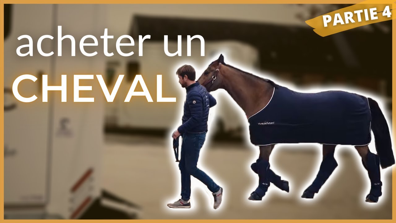 Acheter un cheval 4/4 : Visite véto, assurance, transport