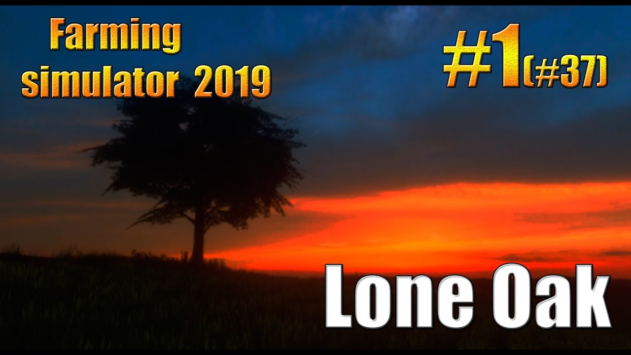 Lone Oak/timelapse/Farming simulator 19/fs19/фс19/#1(#37).
