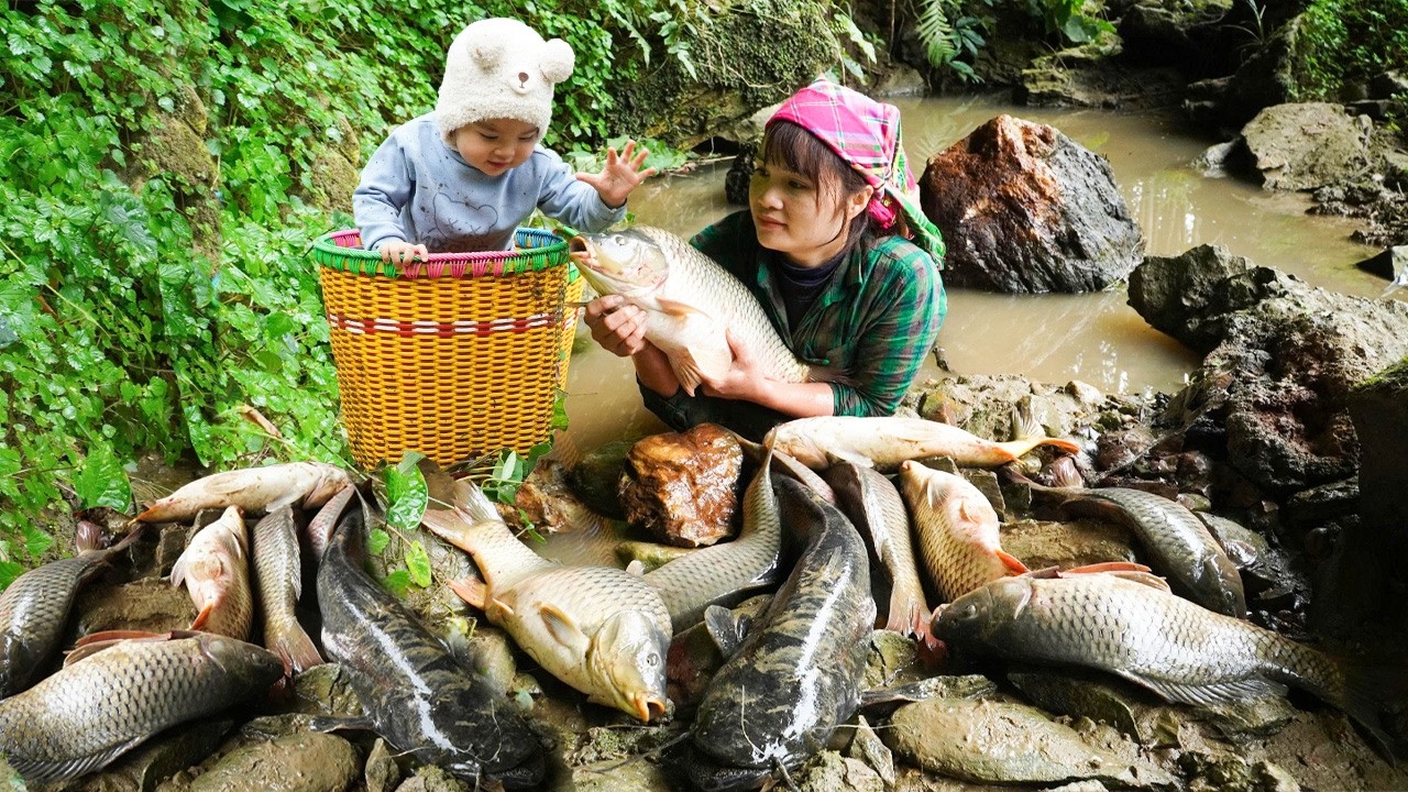 Survival in the Wilderness How a Single Mother Catches Fish in a Forest Stream Using Only Her Hands