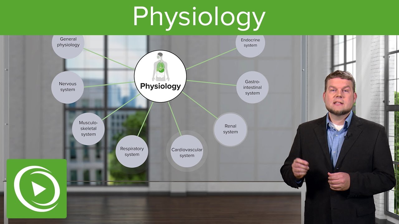 Physiology – Course Preview | Lecturio