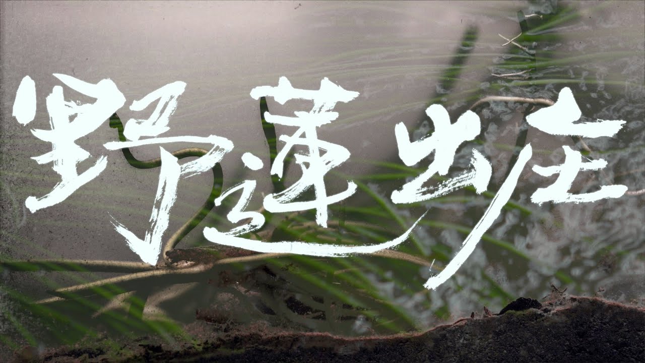 生祥樂隊 Sheng Xiang & Band ｜〈野蓮出庄〉Water Snowflake Goes to Market (Official Music Video)