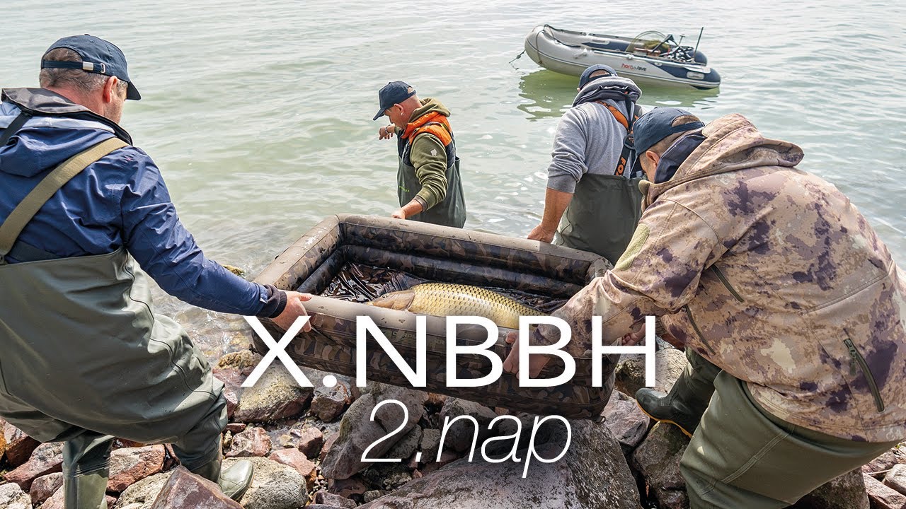 X. NBBH - 2. Nap Összefoglaló