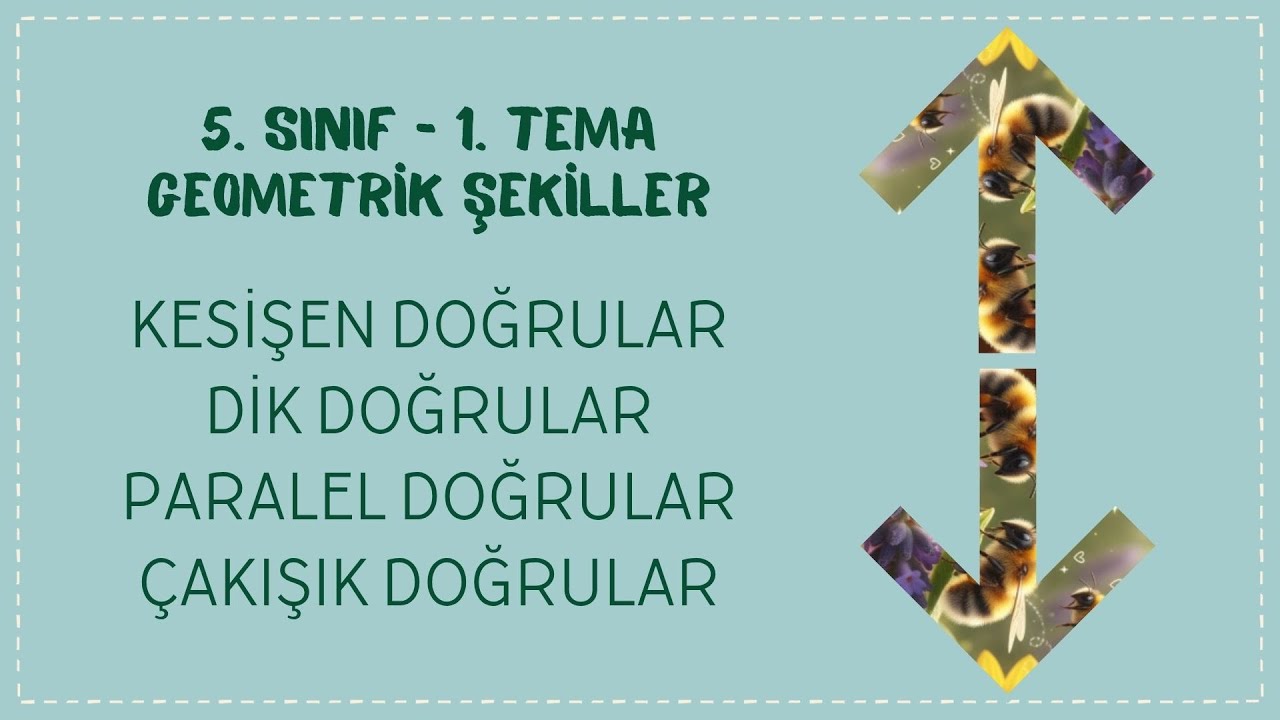 14. Doğruların Birbirine Göre Durumları - 5. Sınıf - Matematik - Geometrik Şekiller
