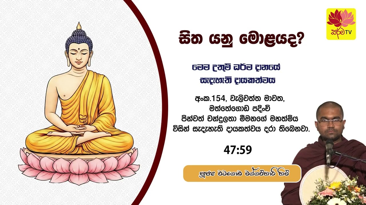 සිත යනු මොළයද?