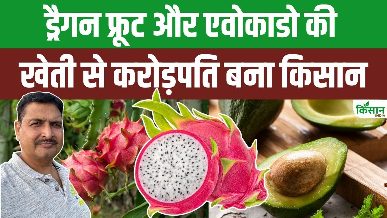 Dragon Fruit और Avocado की खेती से करोड़ों की कमाई | खुद किसान ने बताया सफलता का राज | Exotic fruits