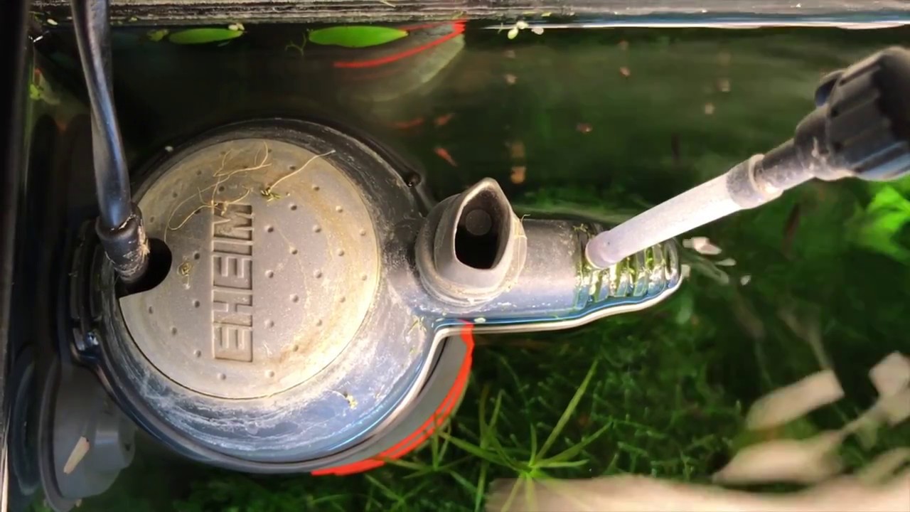 Eheim Biopower Innenfilter reinigen HD