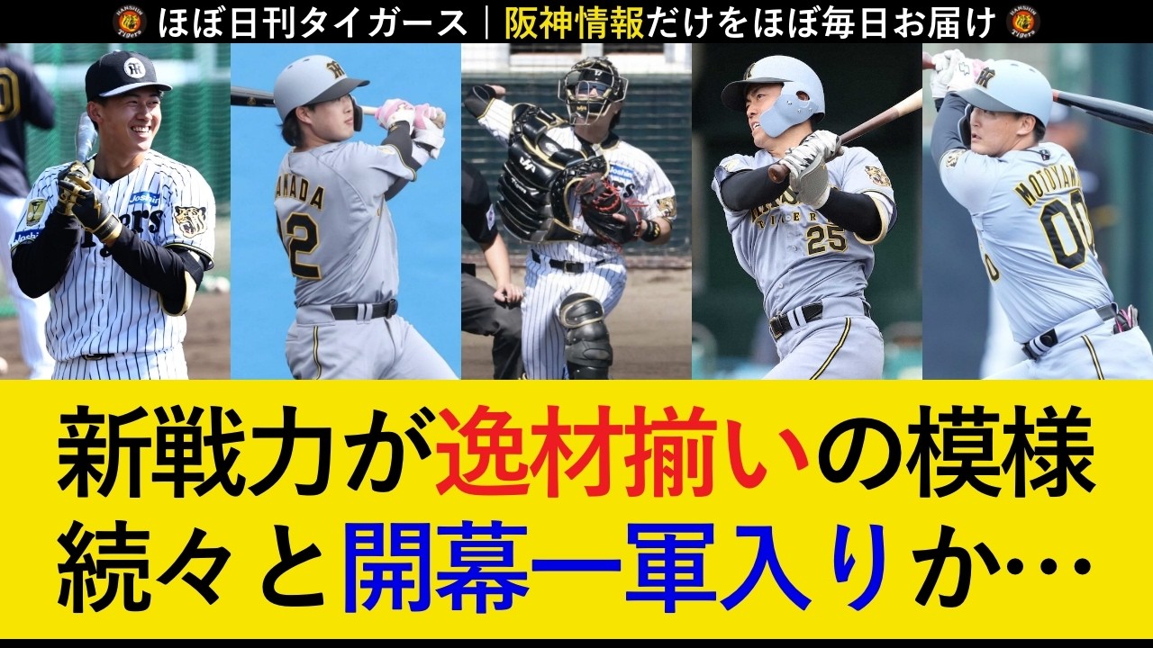 【的確補強で戦力UP】新戦力たちが逸材揃いの模様！評論家や首脳陣から絶賛が続出！【阪神タイガース】