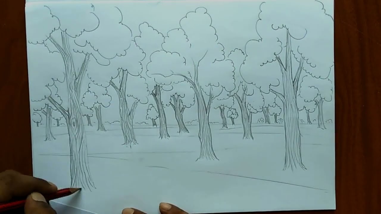 How  to draw forest scene Step by step | Forest drawing for beginner (very easy) | Art video