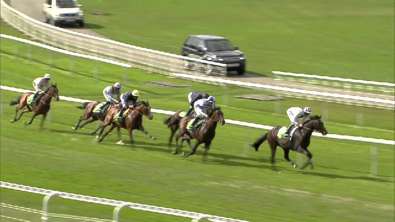2013 Juddmonte International Stakes - Declaration Of War