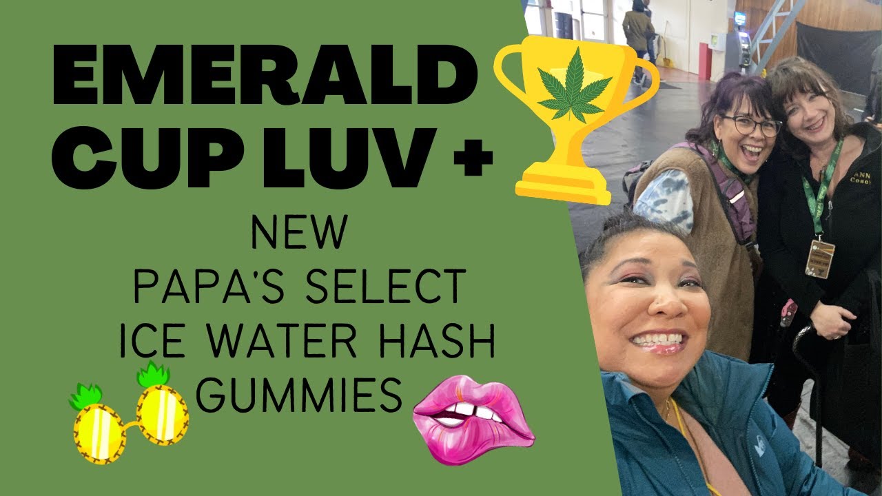 EMERALD 🏆 CUP Swag Haul + New Papa's Select Gummies - Now Cannabis-flavored 😋 w/ Award-winning 💧Hash