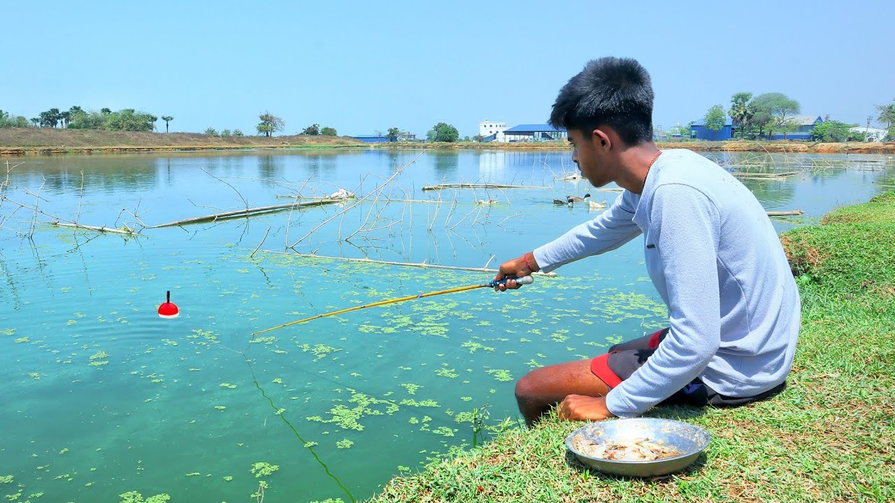 Fishing Video 😱 || Traditional boy fishing in the village pond will amaze everyone || Pond Fishing🎣