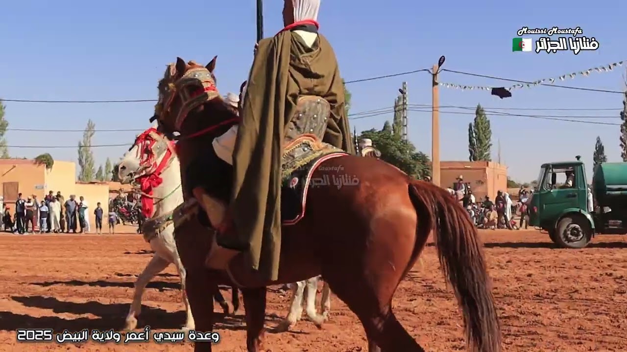 ملخص شامل لعروض الفنتازيا من وعدة سيدي أعمر ولاية البيض 2025 الجزء الثامن