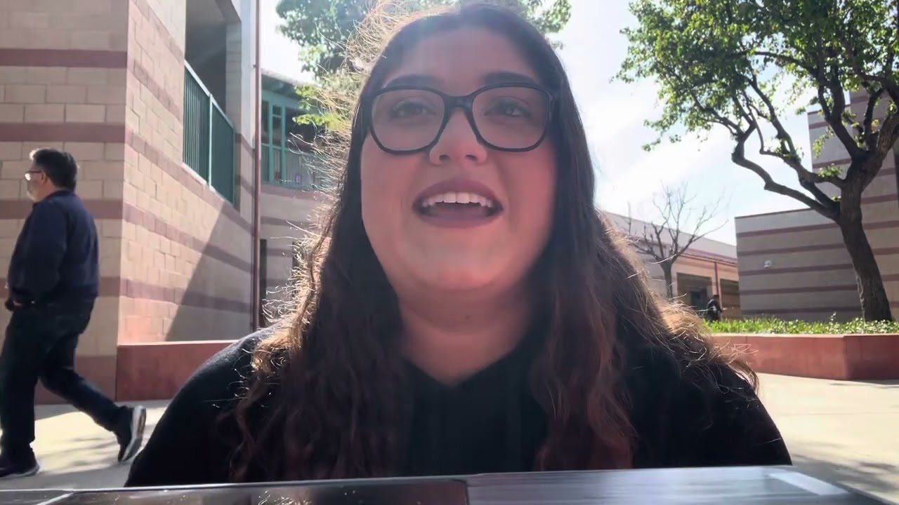 Government debate video