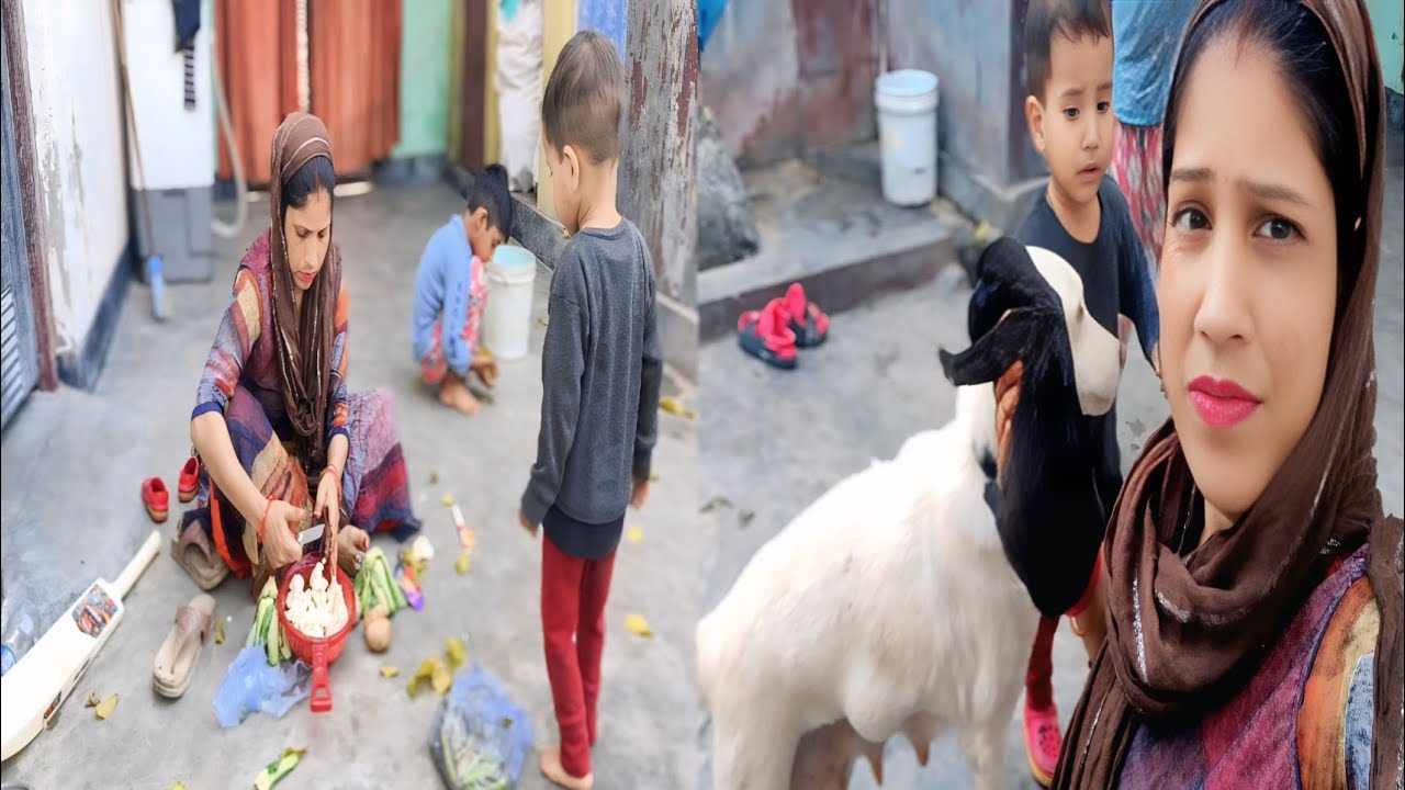 🥰 हमारे घर में आए दो नन्हे मुन्ने मेहमान 🌺 | Dally lifestyles vlog 🙏🙏🌺