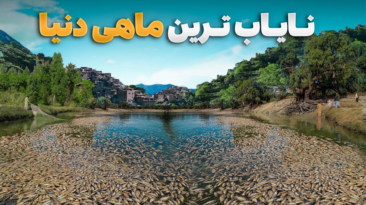 قریه به قریه - دیدار از بهترین فارم ماهی در ولایت لغمان