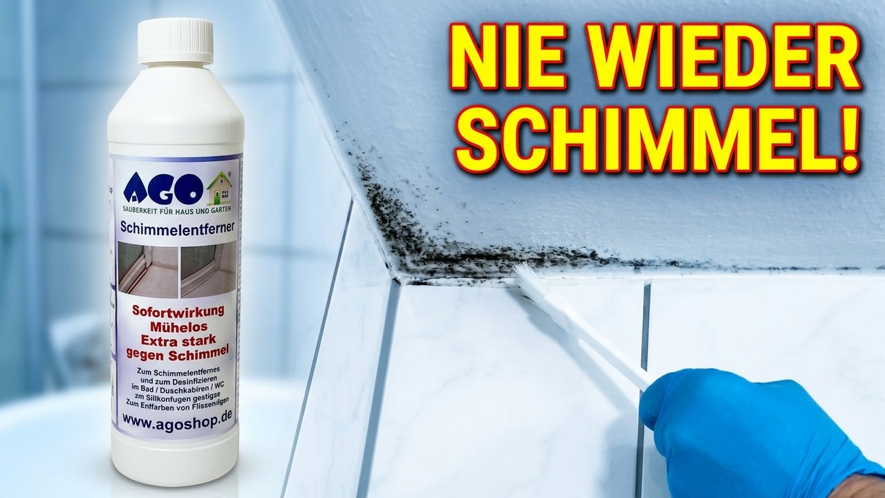 Tatort Badezimmer - So wird Schimmel WIRKLICH beseitigt!