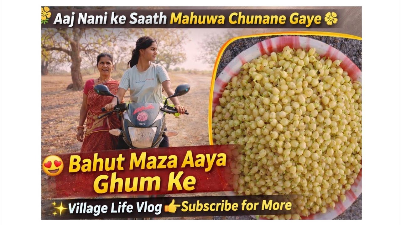 🌳 Mahuwa Chunne Aaye Jungle Mein | Nature Vlog | Village Life Maza Aa Gaya