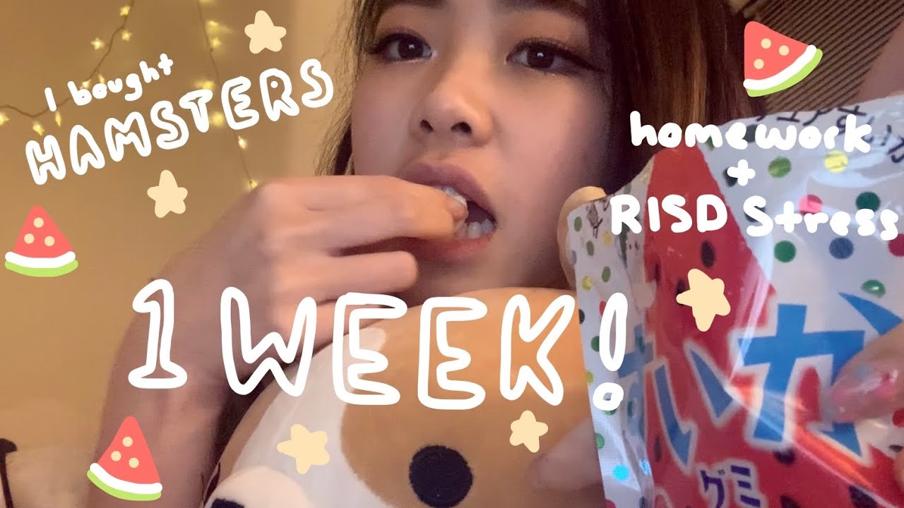 The Calm Before The Storm (Hamsters and Food) | Pre-Finals Vlog | Tiffany Weng