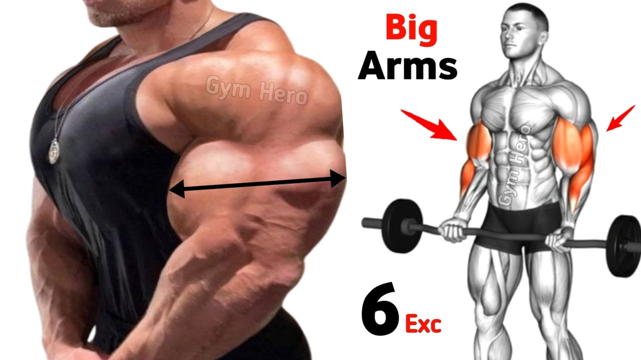 6 Effective Arm Exercises for Maximum Biceps & Triceps Growth