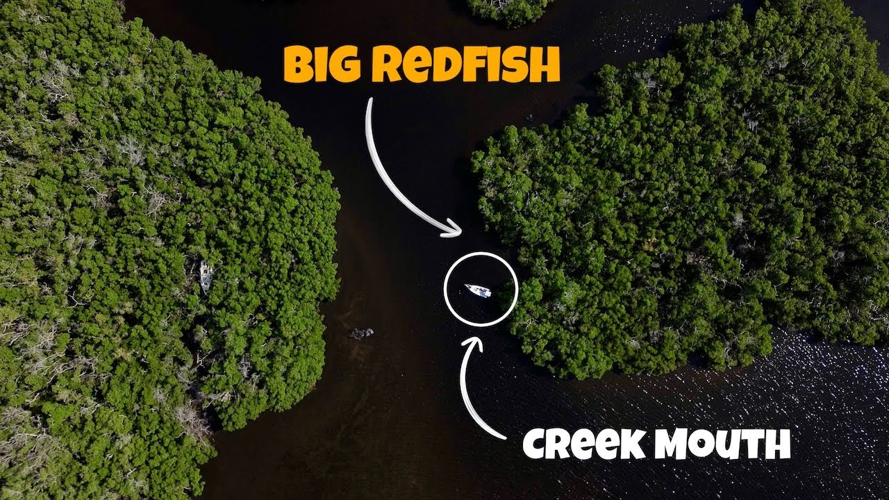 Catching MASSIVE Redfish in Florida Creeks