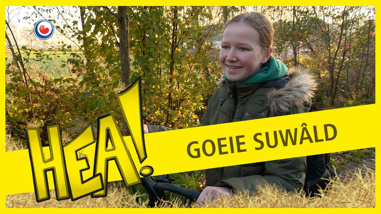 HEA! Goeie Suwâld