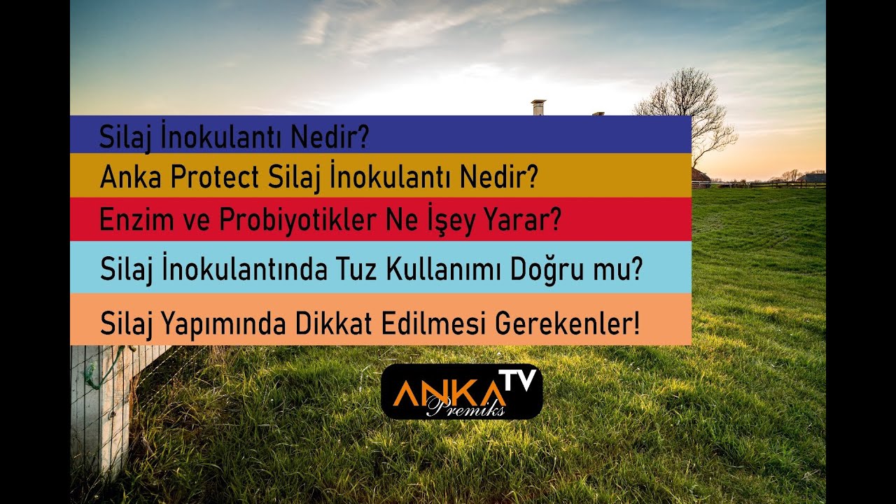 SİLAJ HAZIRLAMANIN PÜF NOKTALARI!!