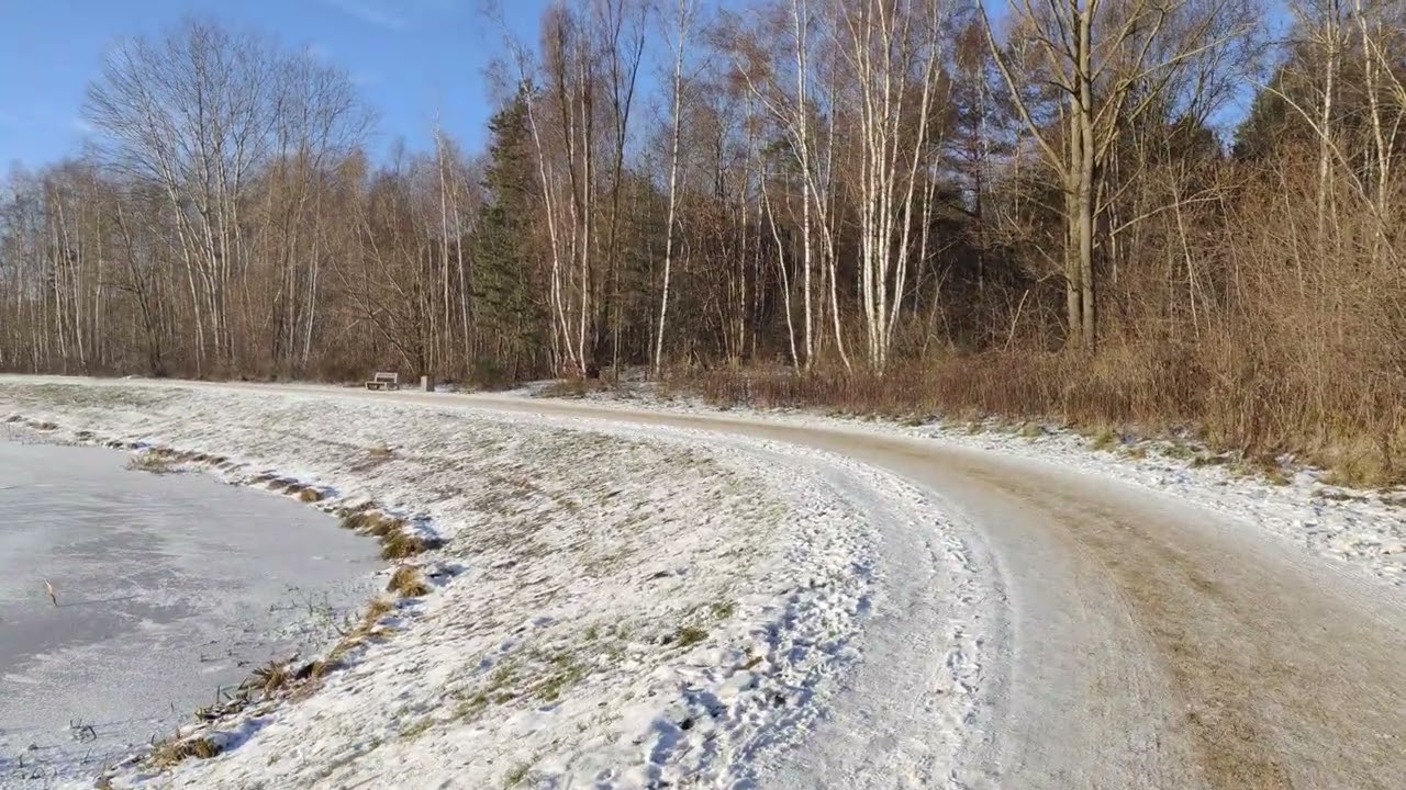 Winter Walk Sunny Day 4k Poland Gdansk