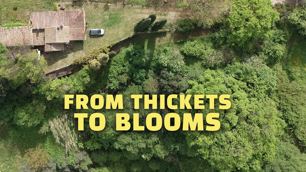 20 Years of Silence: Restoring an Abandoned Italian land and farmhouse